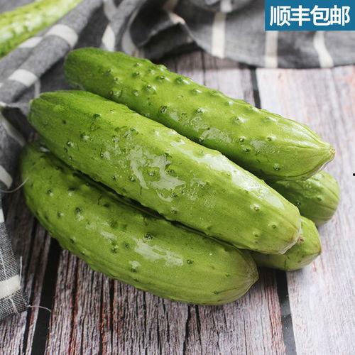 新鲜脆瓜黄瓜怎么吃,黄瓜脆瓜的多彩吃法探索