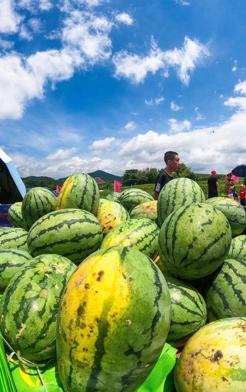 梁山拳谱吃瓜,揭秘古代武林秘籍中的吃瓜智慧