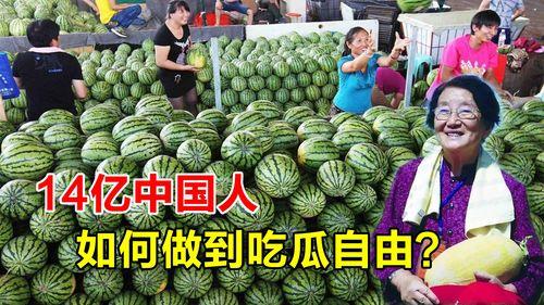 郑州吃瓜贵吗,郑州吃瓜消费水平揭秘