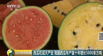 吃瓜多少年,吃瓜多年，带你领略娱乐圈风云变幻