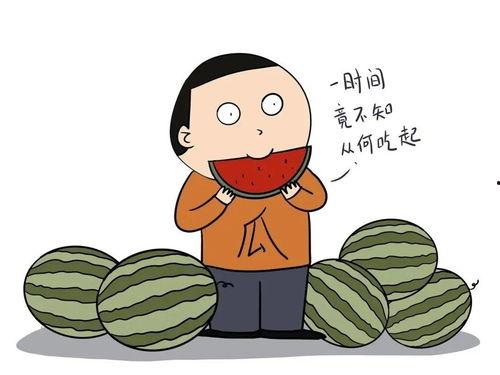 吃瓜舔屏英语,揭秘吃瓜舔屏背后的英语魅力