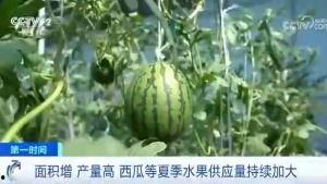 永登吃瓜群众,揭秘当地热点事件背后的故事