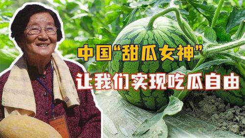 中国的吃瓜事件,网络舆论场上的狂欢与反思