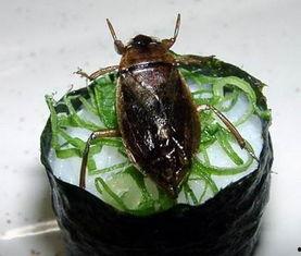 铁锹虫会吃蜜瓜吗,它们真的会吃蜜瓜吗？