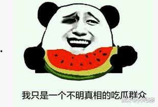 无语吃瓜事件,揭秘网络事件背后的真相与反思