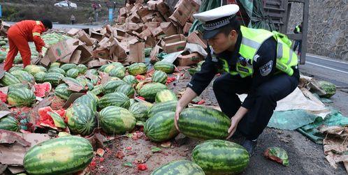 吨姐理性吃瓜,吨姐教你如何成为吃瓜高手