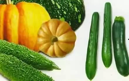 何谓吃瓜烙,网络热词背后的文化现象