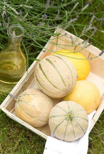 二饼吃瓜事件传播,网络传播下的舆论风暴