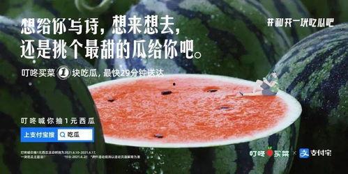 到了吃瓜季节文案,揭秘吃瓜季节的乐趣与秘密