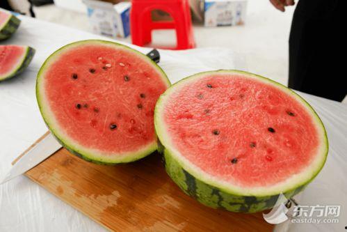 上海阿西吃瓜,揭秘网红美食背后的故事