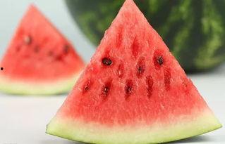 瓜6吃西瓜,一场夏日甜蜜的味蕾盛宴  第2张