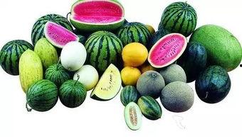 吃瓜前众多爱听的瓜,那些你不知道的幕后故事与瓜料大集合